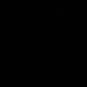 Meet your Posher, Spencer